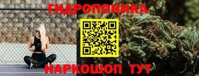 ГАЛЛЮЦИНОГЕННЫЕ ГРИБЫ Ипатово